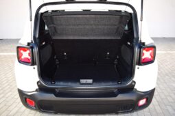 
										Jeep Renegade 1.6 multijet 120 cv Longitude full									