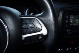 
										Jeep Renegade 1.6 multijet 120 cv Longitude full									