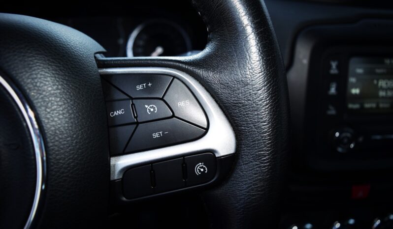 
								Jeep Renegade 1.6 multijet 120 cv Longitude full									