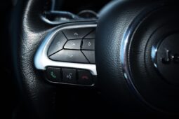 
										Jeep Renegade 1.6 multijet 120 cv Longitude full									